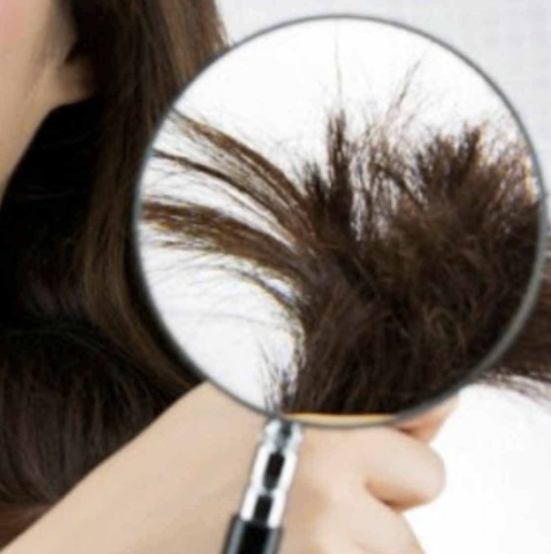 ダメージ毛と健康毛とは Room Hair ルームヘア 半個室のプライベート美容室 渋谷 杉並 世田谷 新宿