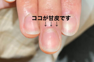 爪を綺麗にする